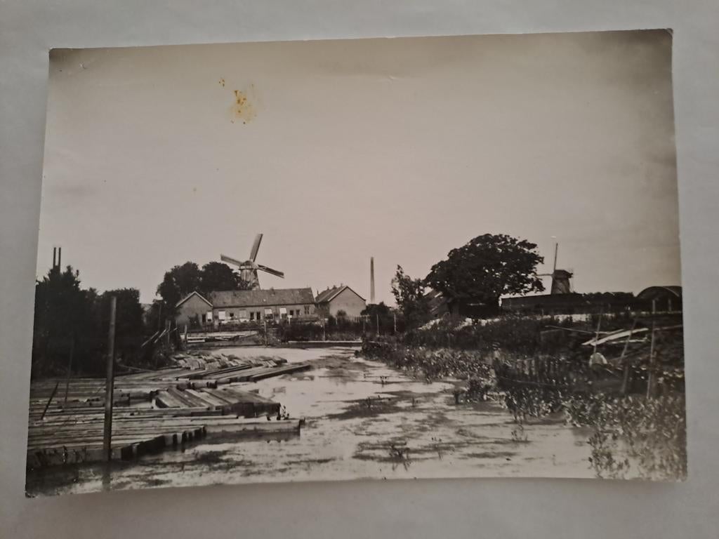 Dordrecht,  Zeelt, schravendeelse dijk, foto, Ophalen of Verzenden, Zuid-Holland