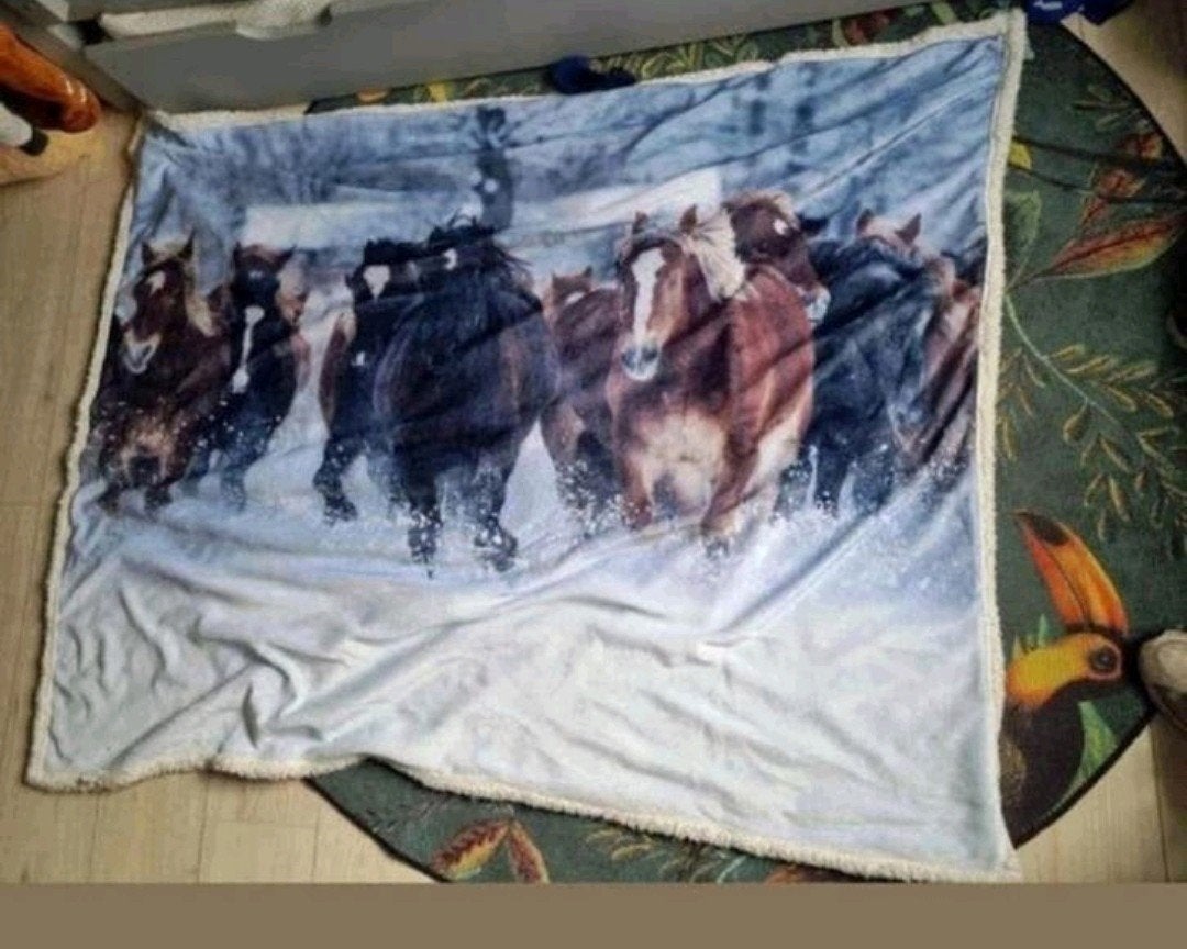 Paarden kleed, Ophalen, Zo goed als nieuw, Rechthoekig, 200 cm of meer