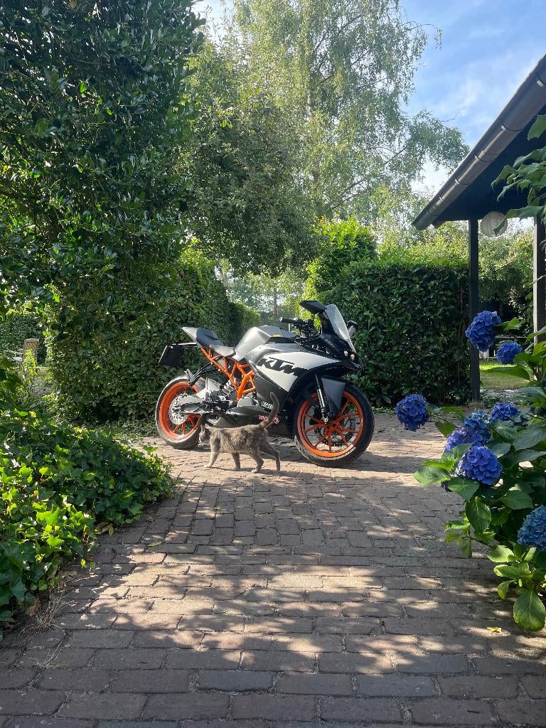 KTM RC 390 2015 A2 ABS, Motoren, Motoren | KTM, Super Sport, Particulier, 373 cc, Minimaal motorrijbewijs A2