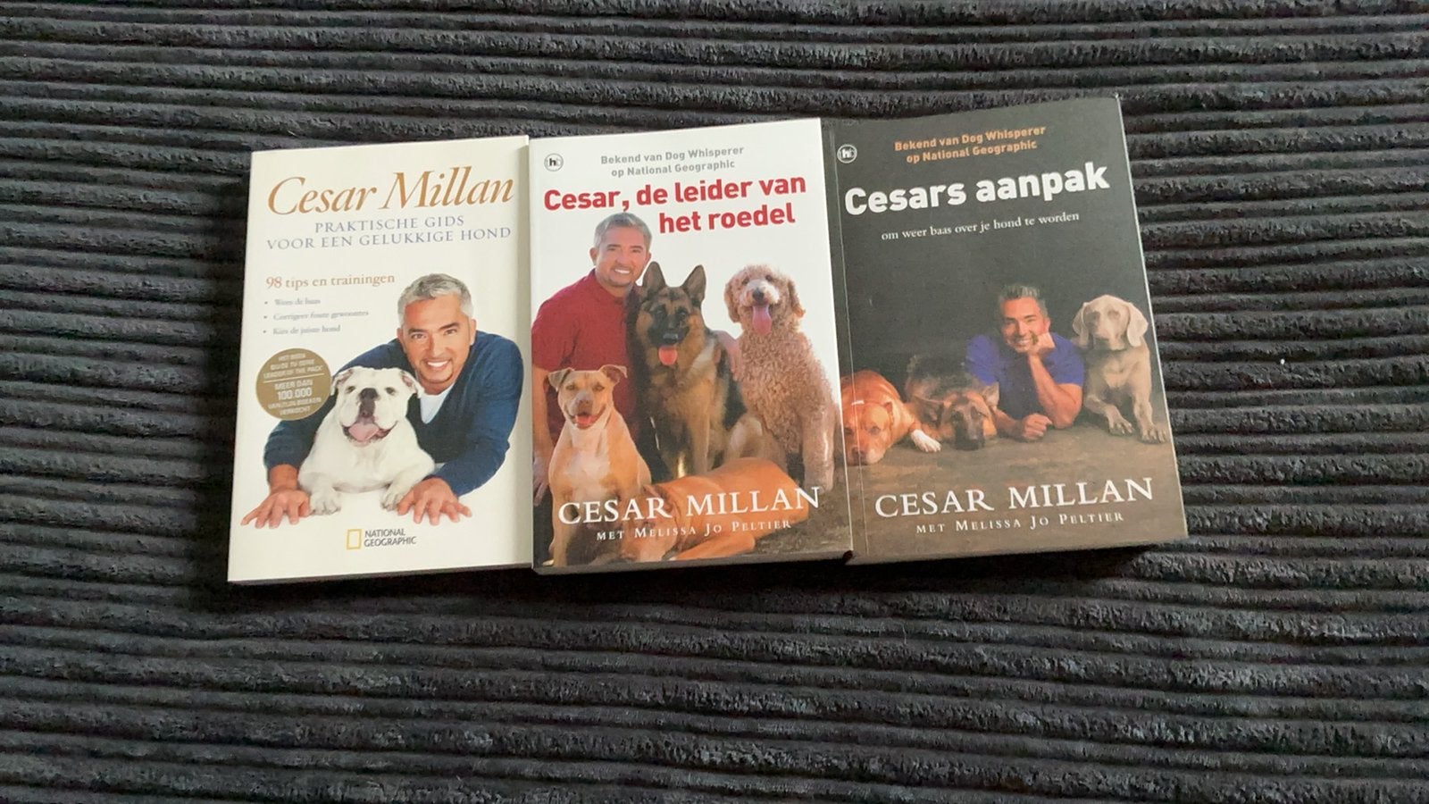 Cesar Millan, Ophalen, Gelezen, Honden