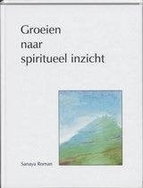 Sanaya Roman Groeien naar spiritueel inzicht, Boeken, Ophalen of Verzenden, Nieuw, Spiritualiteit algemeen, Achtergrond en Informatie