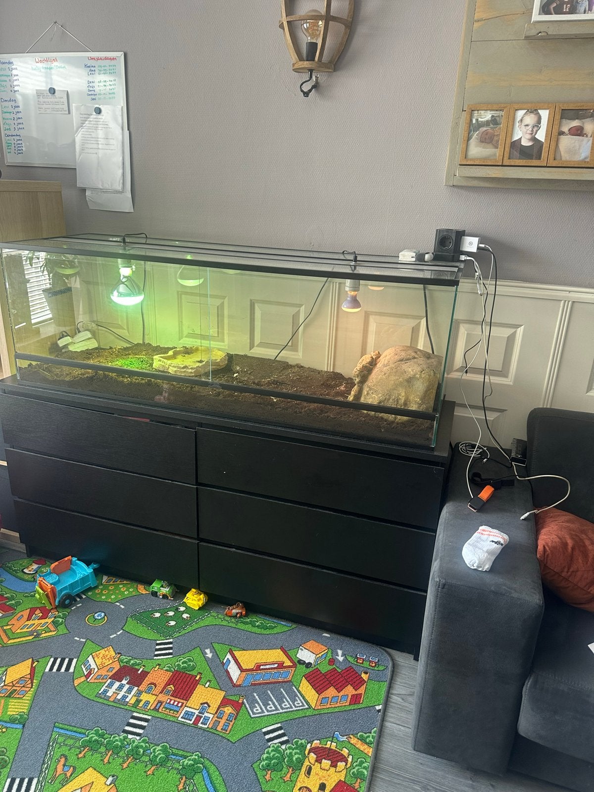Glazen Terrarium te koop – 200 x 50 x 50 cm, Dieren en Toebehoren, Reptielen en Amfibieën | Toebehoren, Ophalen, Gebruikt, Terrarium of Paludarium