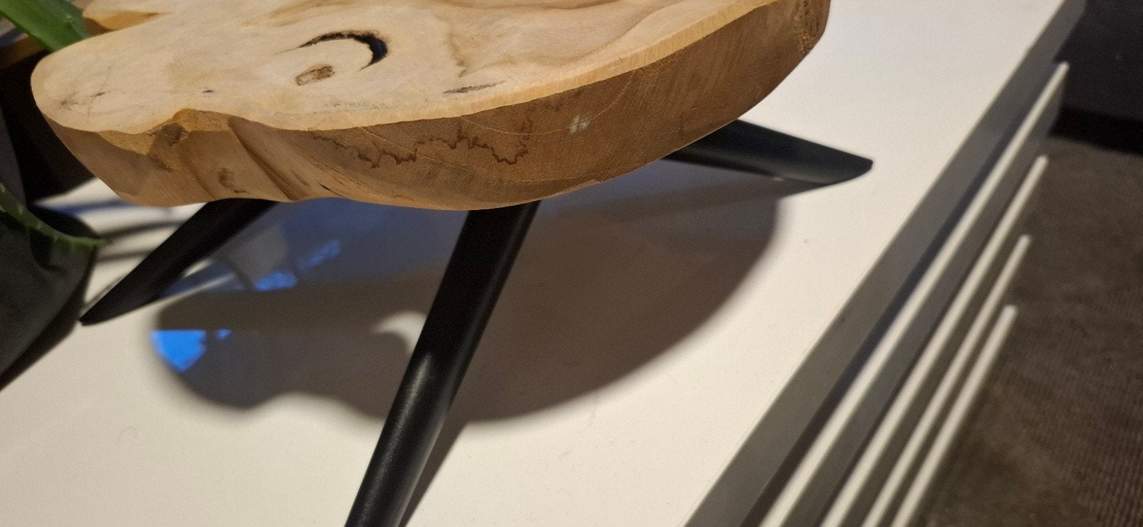 Decoratief tafelplateau, houten boomstam op poten, Ophalen of Verzenden, Nieuw