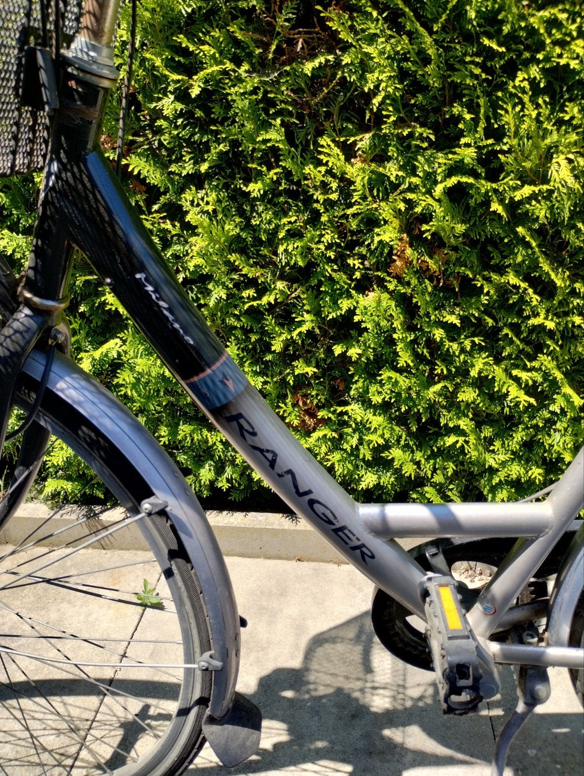 Damesfiets Ranger met mand en bagagedrager, Fietsen en Brommers, Velgrem, Ophalen, Overige merken, 53 tot 56 cm