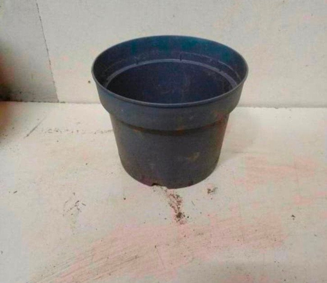Kweekpotten plantenpotten bloempotten 2 liter, Tuin en Terras, Bloempotten, Kunststof, Gebruikt, Rond, Ophalen of Verzenden
