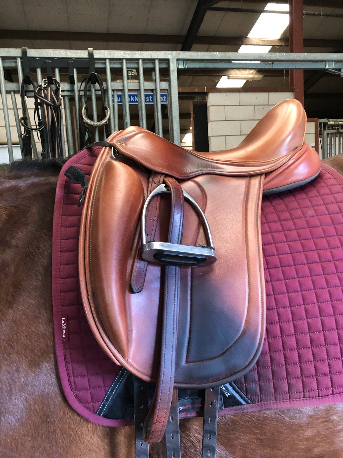 Black Country cognac zadel, Ophalen, L (17.5 inch), Gebruikt, Dressuur