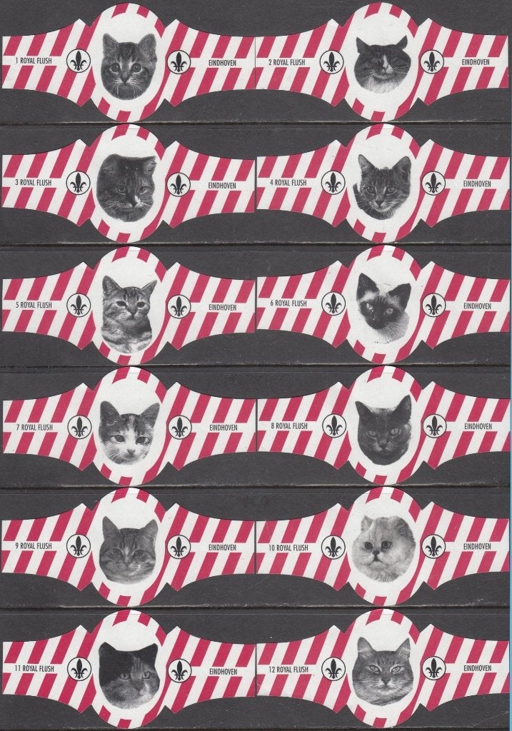 Sigarenbanden met Poezen, Royal Flush 1-12 rood gestreept, Verzenden, Zo goed als nieuw, Sigarenbandjes