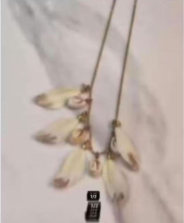 GAS Bijoux - Prachtige feather ketting - Nieuw € 39,95, Nieuw, Ophalen of Verzenden, Goud, X