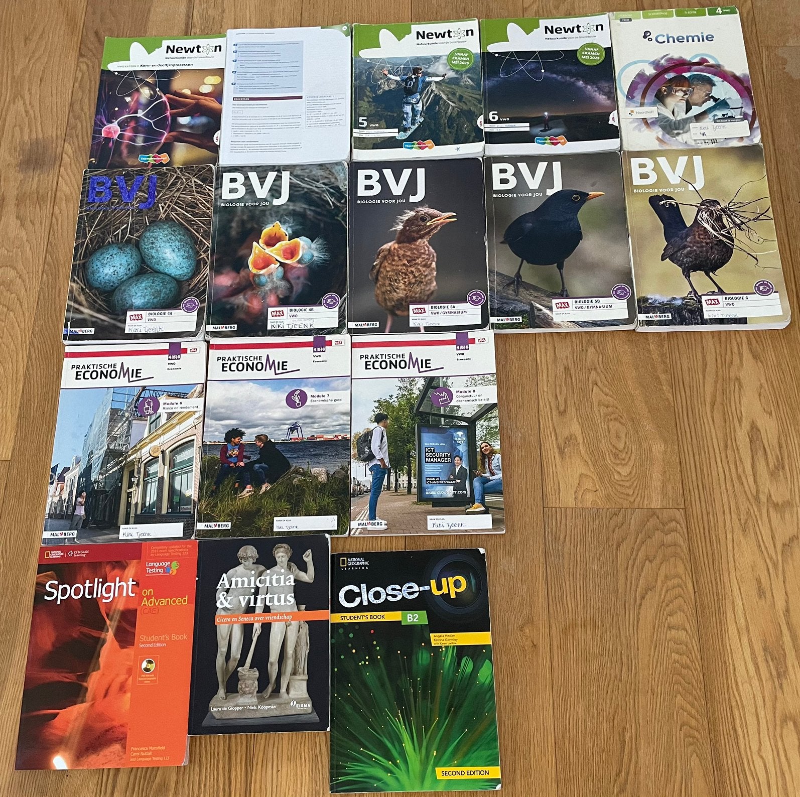 chemie bvj newton praktische economie vwo 3 4 5 6, Boeken, Schoolboeken, Ophalen of Verzenden, Zo goed als nieuw