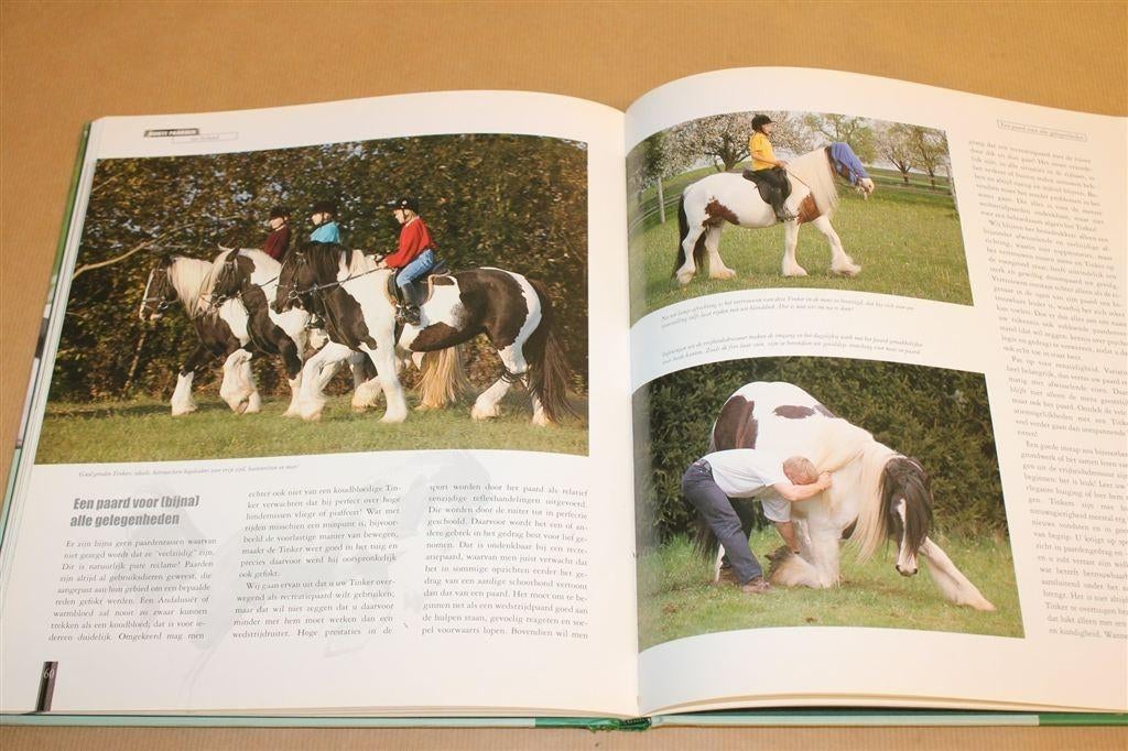 Tinkers — Het Ierse paardenras in beeld [Fotoboek], Ophalen of Verzenden, Zo goed als nieuw, Paarden of Pony's