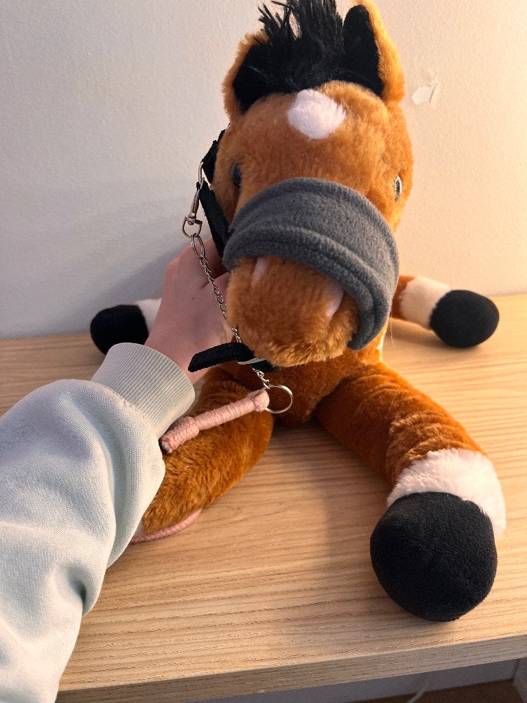 Knuffel paard met halster., Ophalen, Paard, Gebruikt, Middelgroot (20 tot 80 cm)