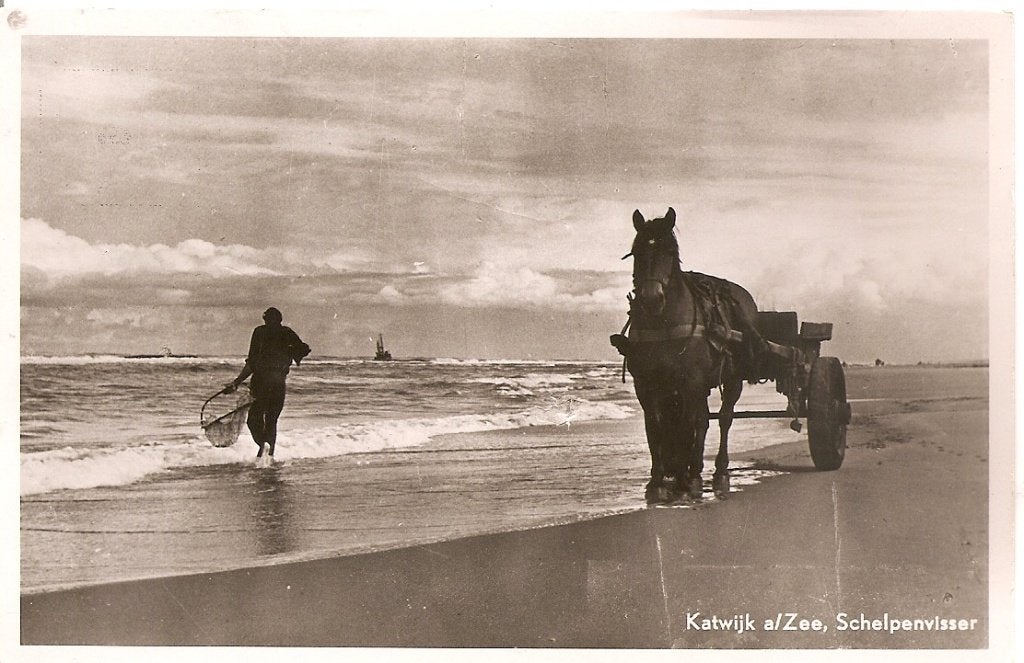 Katwijk aan Zee, Schelpenvisser, Ophalen of Verzenden, 1940 tot 1960, Gelopen, Zuid-Holland