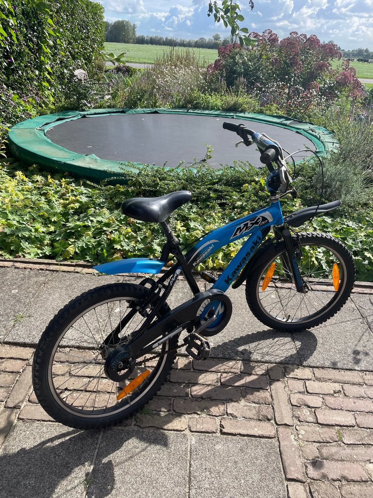 Kawasaki MX kinderfiets 20 inch, Ophalen, Gebruikt, Terugtraprem, 20 inch of meer