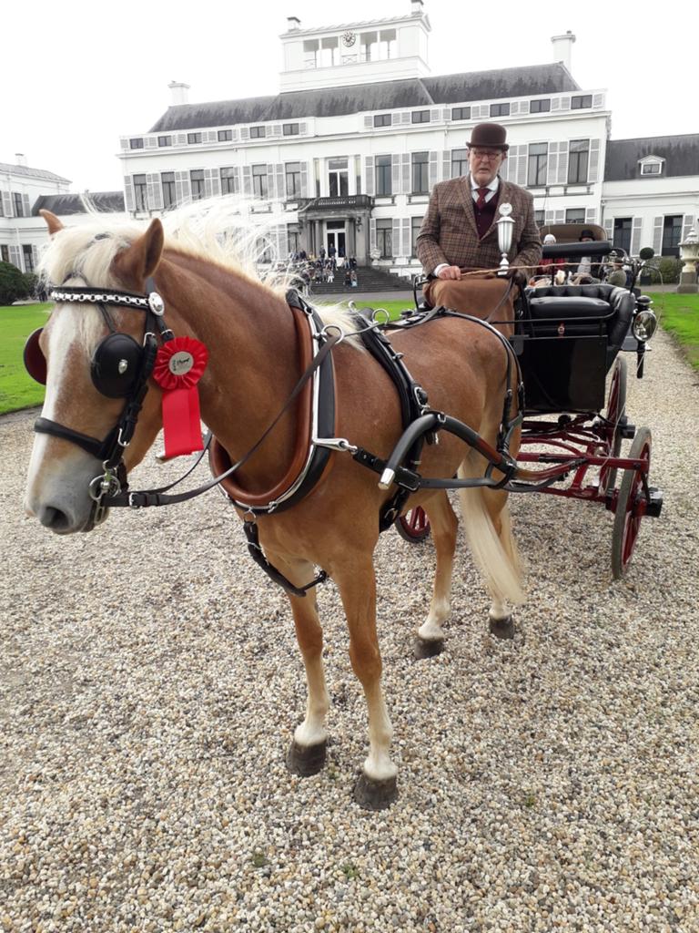 Mentuig Paul Claessen, Dieren en Toebehoren, Paarden en Pony's | Hoofdstellen en Tuigage, Ophalen, Overige soorten