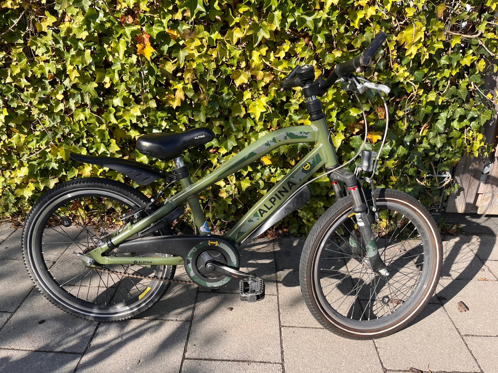 Alpina Trial 20 inch (Jongensfiets), Ophalen, Gebruikt, 22 inch, Handrem