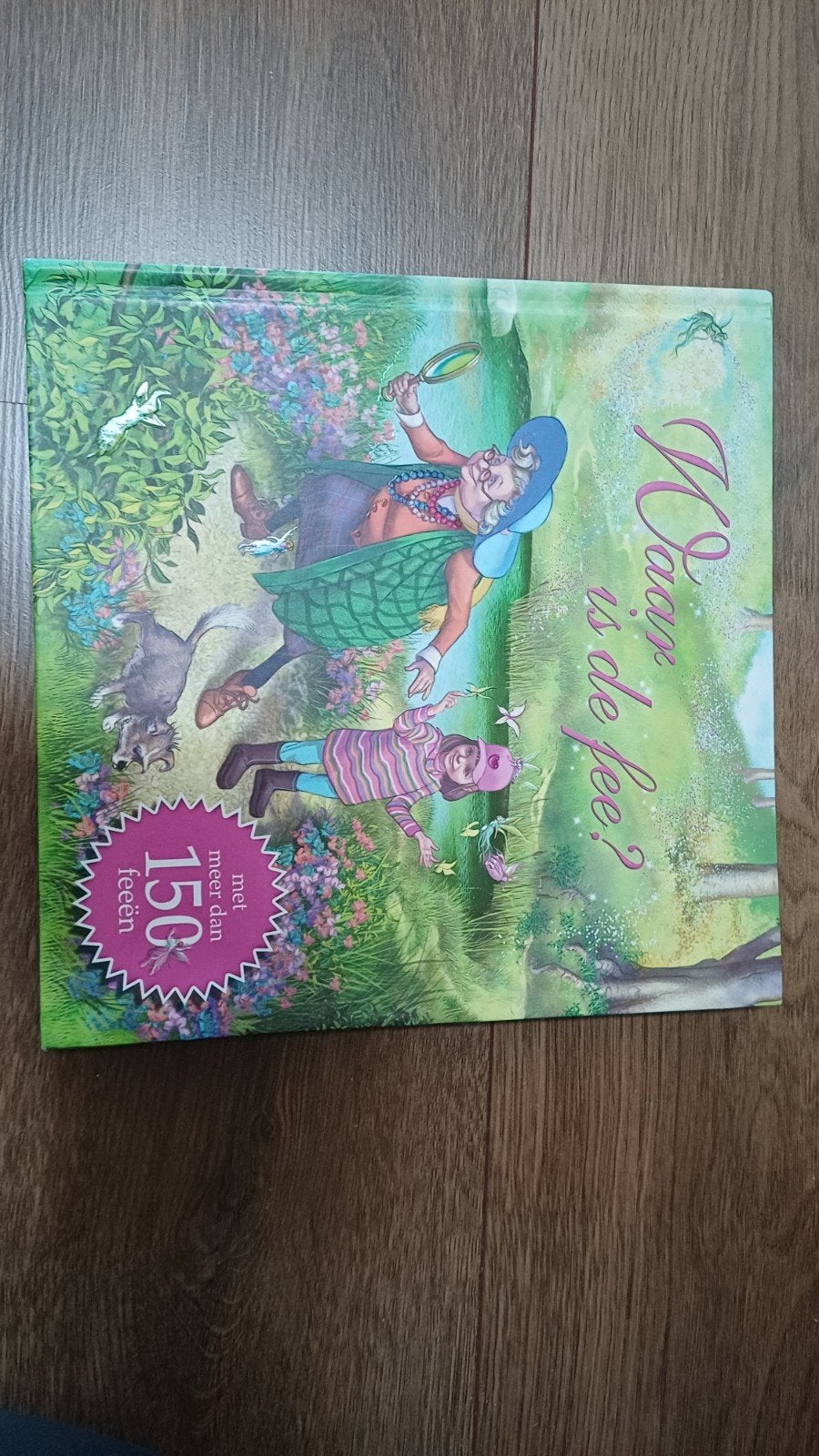 Waar is de fee? Voorleesboek met zoekplaten, Ophalen, Jongen of Meisje, Zo goed als nieuw, Voorleesboek
