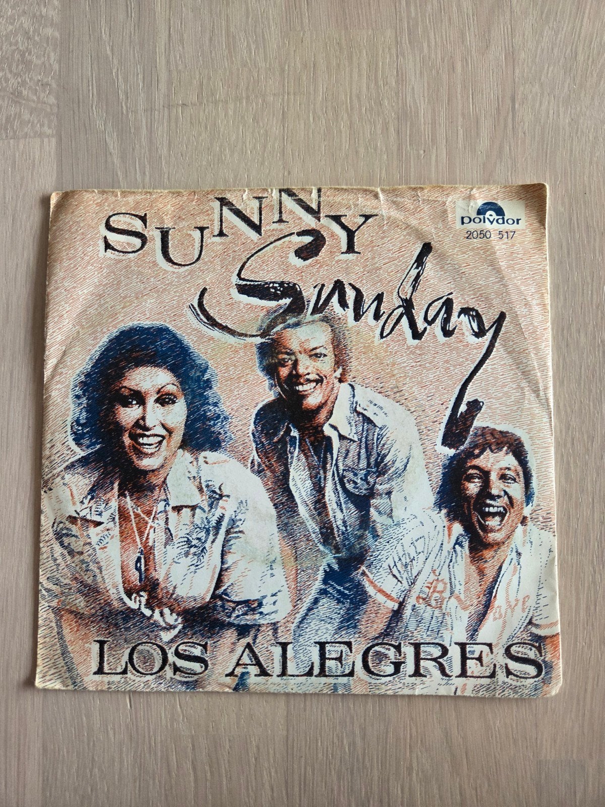 Los Alegres - Sunny Sunday (Vinyl Single), Latin en Salsa, Gebruikt, 7 inch, Ophalen of Verzenden