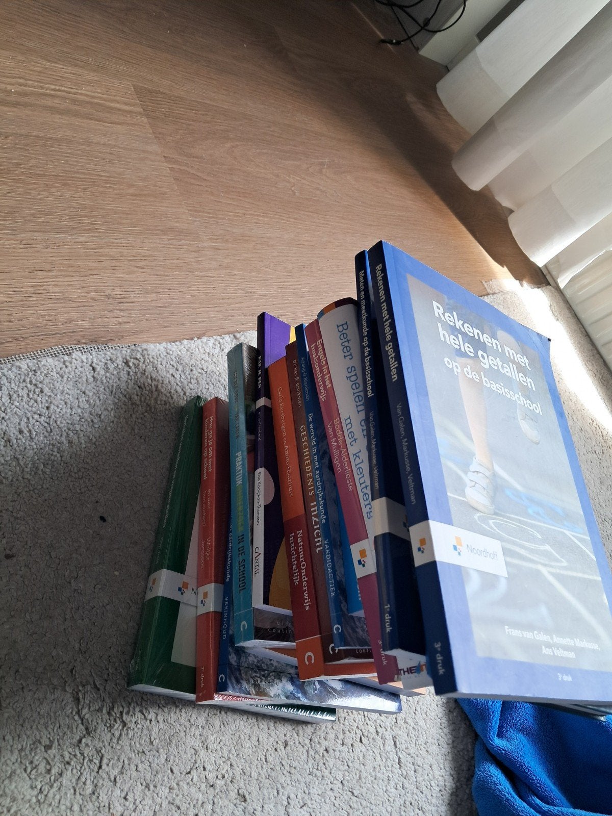 Boeken pabo jaar 1, alleen ophalen, Boeken, Schoolboeken, Zo goed als nieuw, Geschiedenis, Overige niveaus, Verzenden