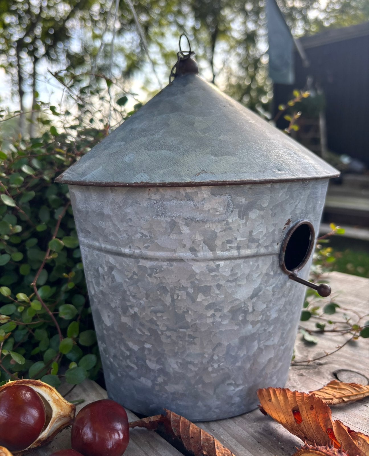 Vogelhuisje, Tuin en Terras, Ophalen of Verzenden, Nieuw