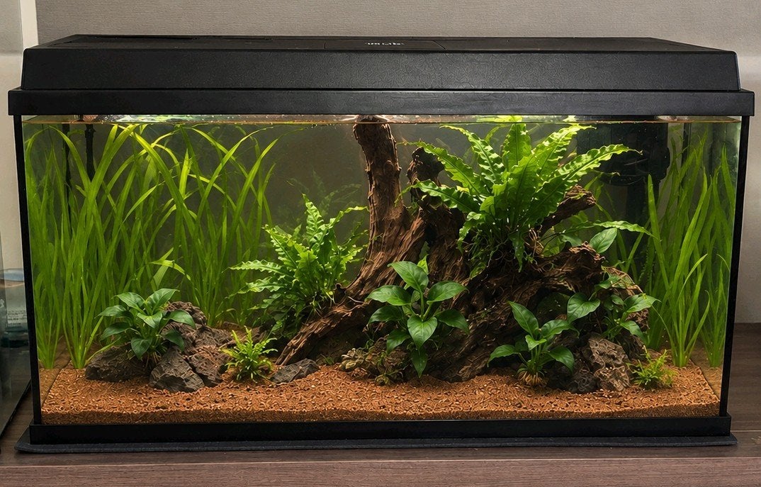 Juwel primo 110, Dieren en Toebehoren, Ophalen of Verzenden