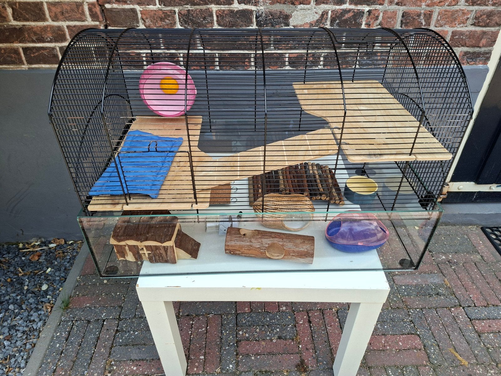 Hamsterkooi met toebehoren., Ophalen, Minder dan 75 cm, Kooi, Minder dan 60 cm