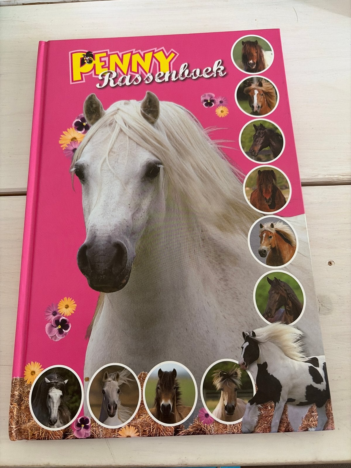 Penny Rassenboek: Paarden en Ponyrassen, Ophalen, Zo goed als nieuw, Non-fictie