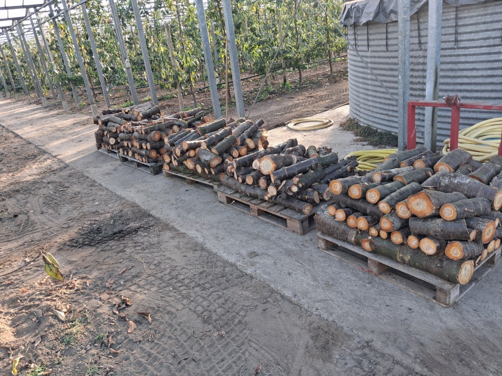Stookhout (kersen) te koop, Tuin en Terras, Minder dan 3 m³, Ophalen, Overige houtsoorten