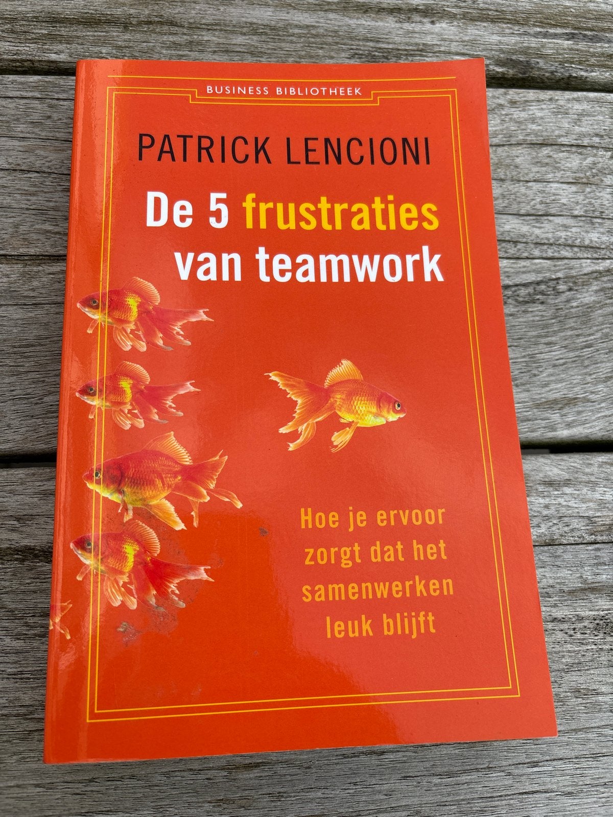 De 5 frustraties van teamwork - Patrick Lencioni, Ophalen of Verzenden, Zo goed als nieuw, Management
