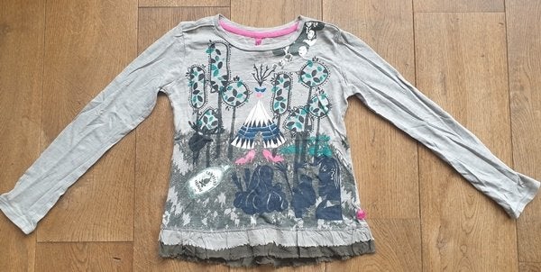 Grijze Longsleeve DIDI (152), Gebruikt, Meisje, Ophalen of Verzenden, Didi