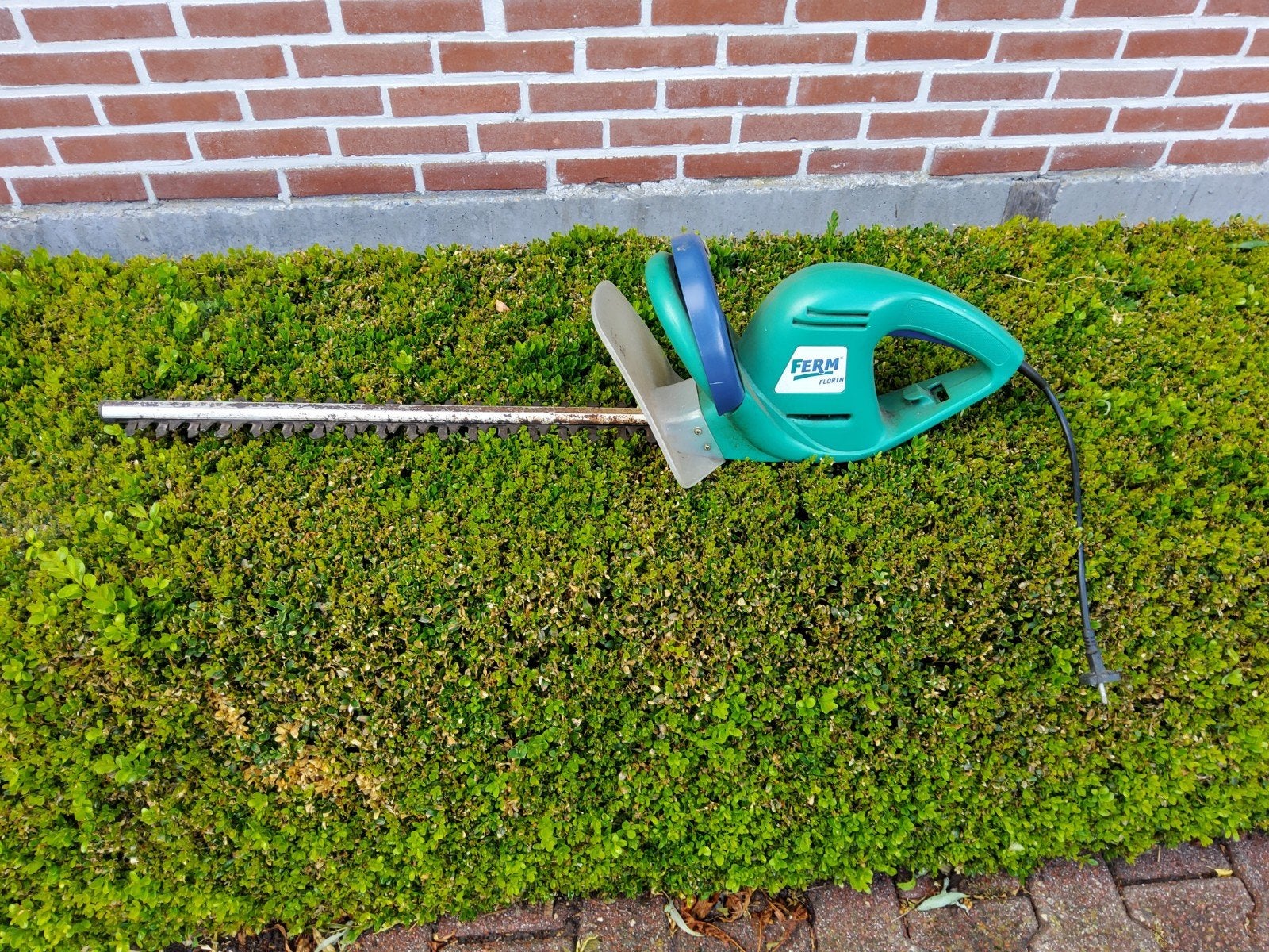 Heggenschaar, Tuin en Terras, Heggenscharen, Ophalen of Verzenden, Gebruikt, Elektrisch
