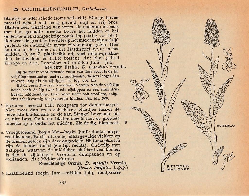 Geïllustreerde Flora van Nederland, Boeken, Ophalen of Verzenden, Gelezen, Bloemen, Planten en Bomen