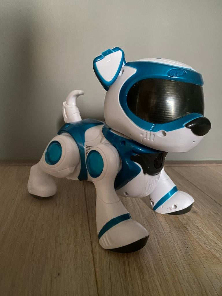 Teksta robot hond met bot, bal en boekje - Werkt perfect!, Ophalen, Gebruikt, 4 tot 6 jaar