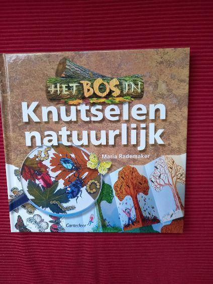 Het bos in Knutselen natuurlijk Maria Rademaker nieuw, Boeken, Ophalen of Verzenden, Nieuw, Overige onderwerpen