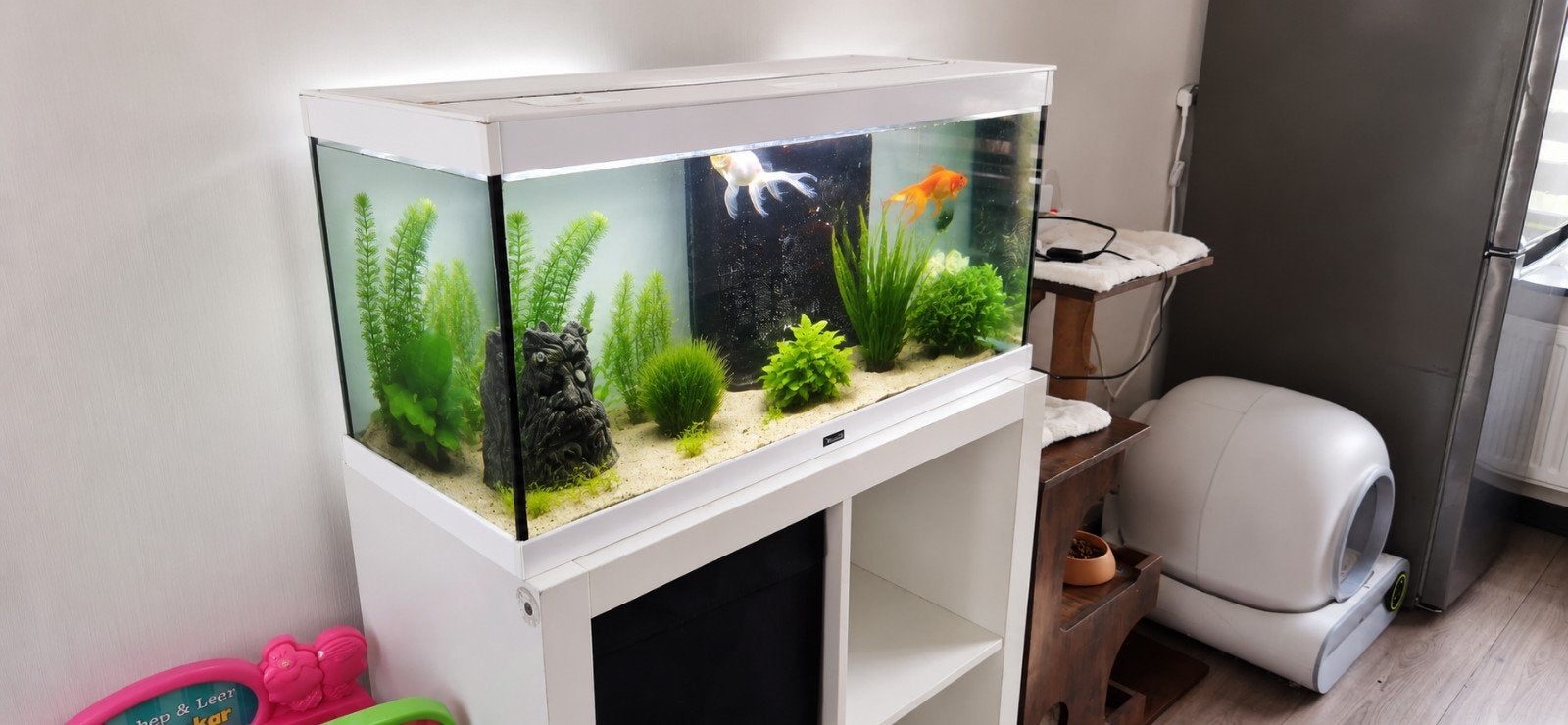 Aquarium 80 x 35 x 40, Ophalen of Verzenden, Gevuld zoetwateraquarium