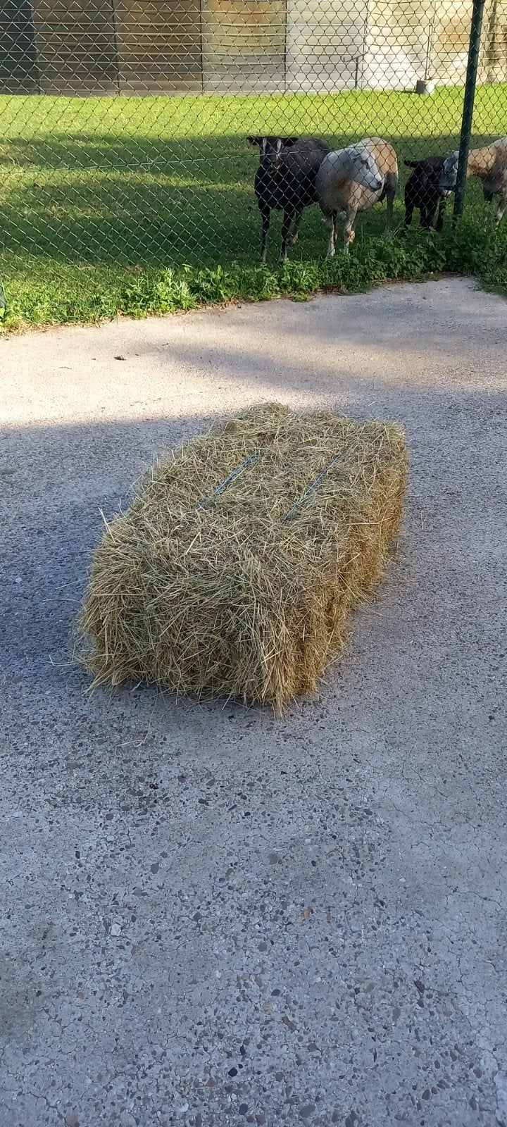 Kleine hooipakjes, Ophalen, Vee