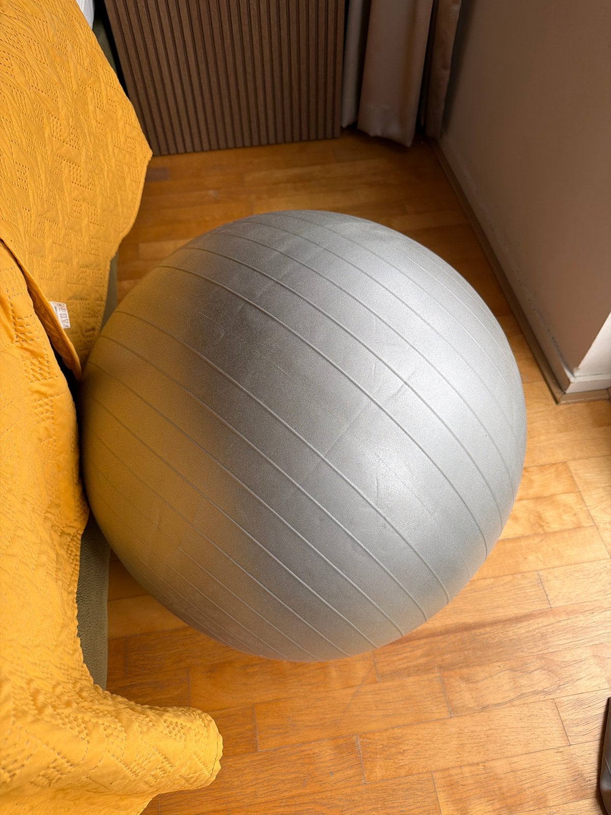 2x Fitnessbal / Zitbal met handpompje - Rug- en bekkenoefeni, Ophalen of Verzenden, Gebruikt, Rug, Fitnessbal