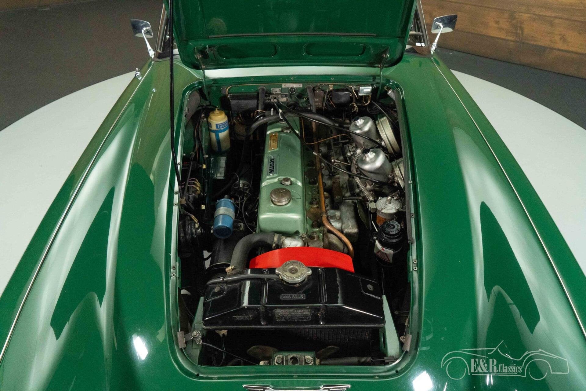 Austin-healey 3000 MK3 Cabriolet | 1965, foto 5