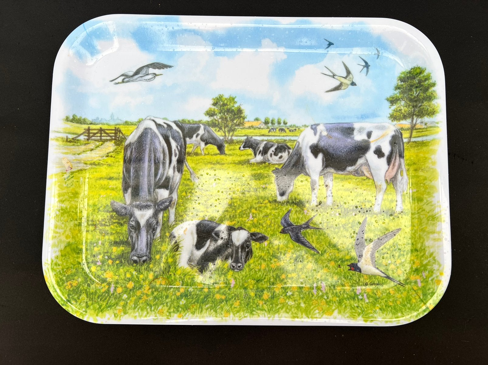 Te Koop Dienblad Koeien Zwart Wit Boeren Landelijk, Huis en Inrichting, Woonaccessoires | Dienbladen, Kunststof, Ophalen of Verzenden