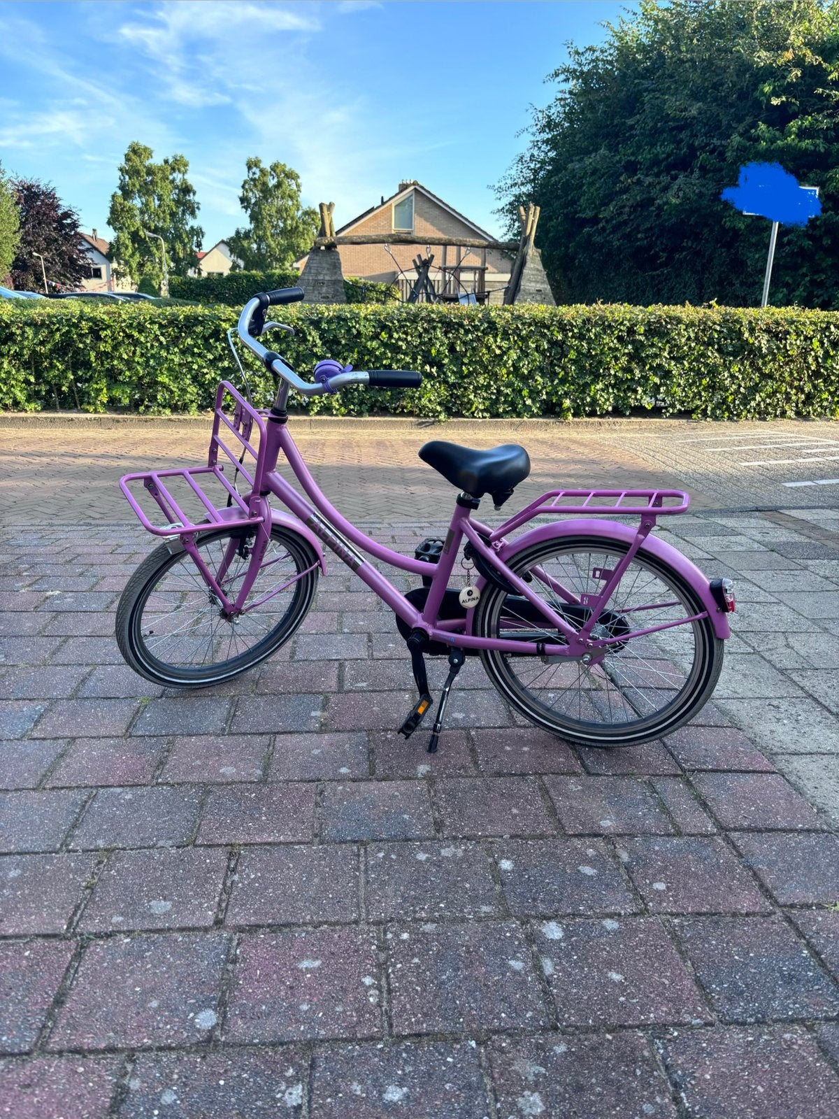 Alpina Cargo Roze 20 inch Meisjesfiets, Ophalen, Terugtraprem, Gebruikt, Handrem