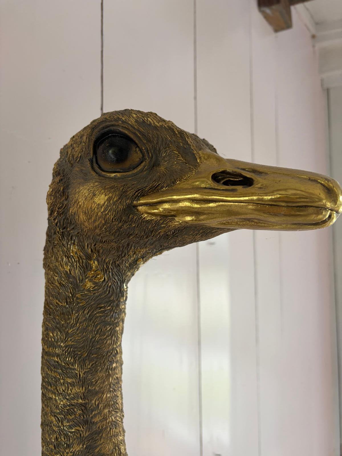 Struisvogel voor aan de wand, Ophalen, Zo goed als nieuw