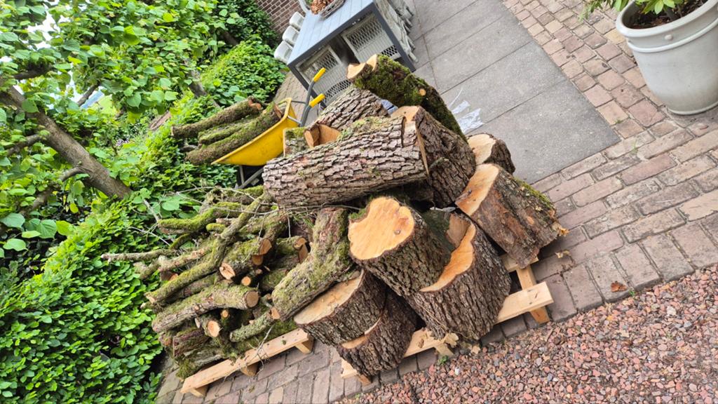 Vers gekapt fruitbomenhout - Ideaal voor vuurkorf/kachel, Tuin en Terras, Haardhout, Minder dan 3 m³, Ophalen, Overige houtsoorten