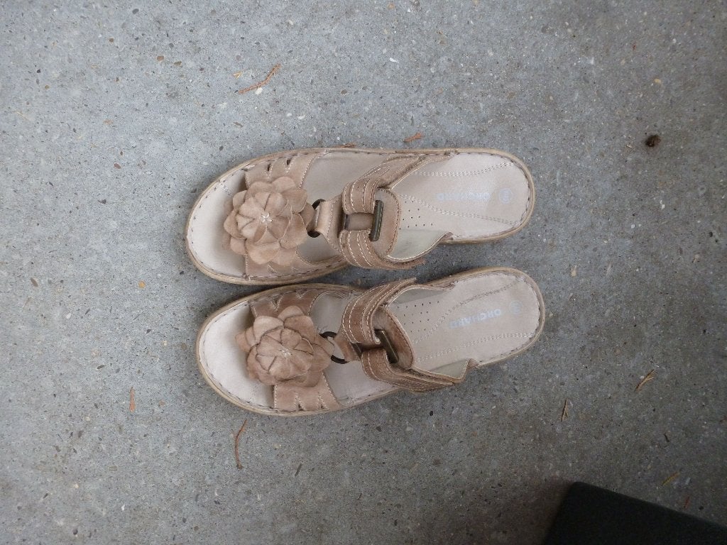 zomer SLIPPERS bloem creme kleur 40 -GRATIS zend, Slippers, Bruin, Verzenden, Nieuw