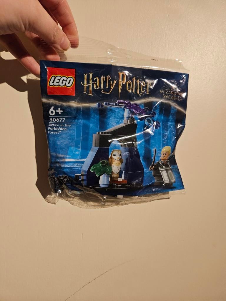 Nieuw Lego setje 30677 Draco in the forbidden forest, Lego, Ophalen of Verzenden, Complete set, Harry Potter