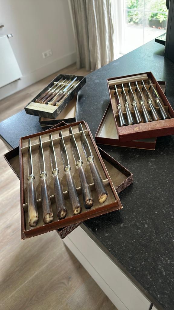 Merk Von Brosy bestekset met hoornen handvatten, Ophalen