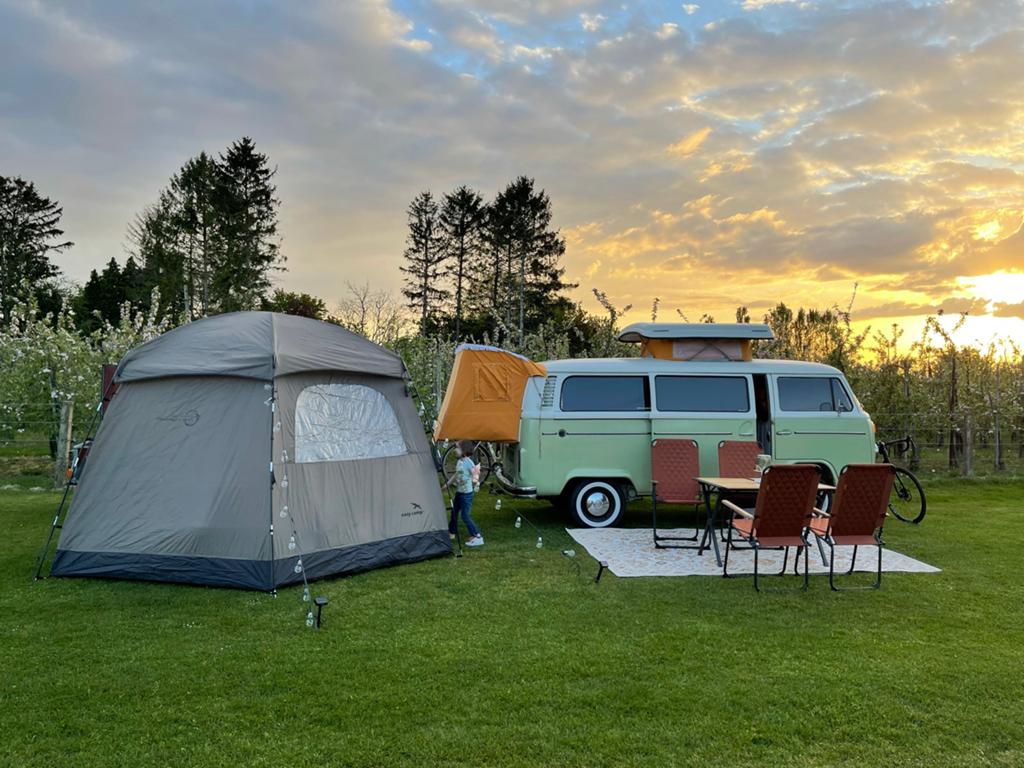 Volkswagen camperbus T2b uit 1975, Ophalen, Gebruikt, Tot en met 3
