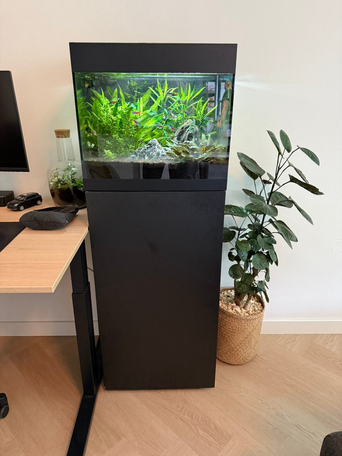 Oase Styleline 85 + Biomaster 250 filter, Dieren en Toebehoren, Ophalen, Zo goed als nieuw