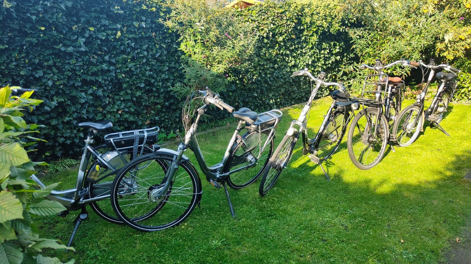 Foto 2 van Diverse Gazelle Electrische Fietsen