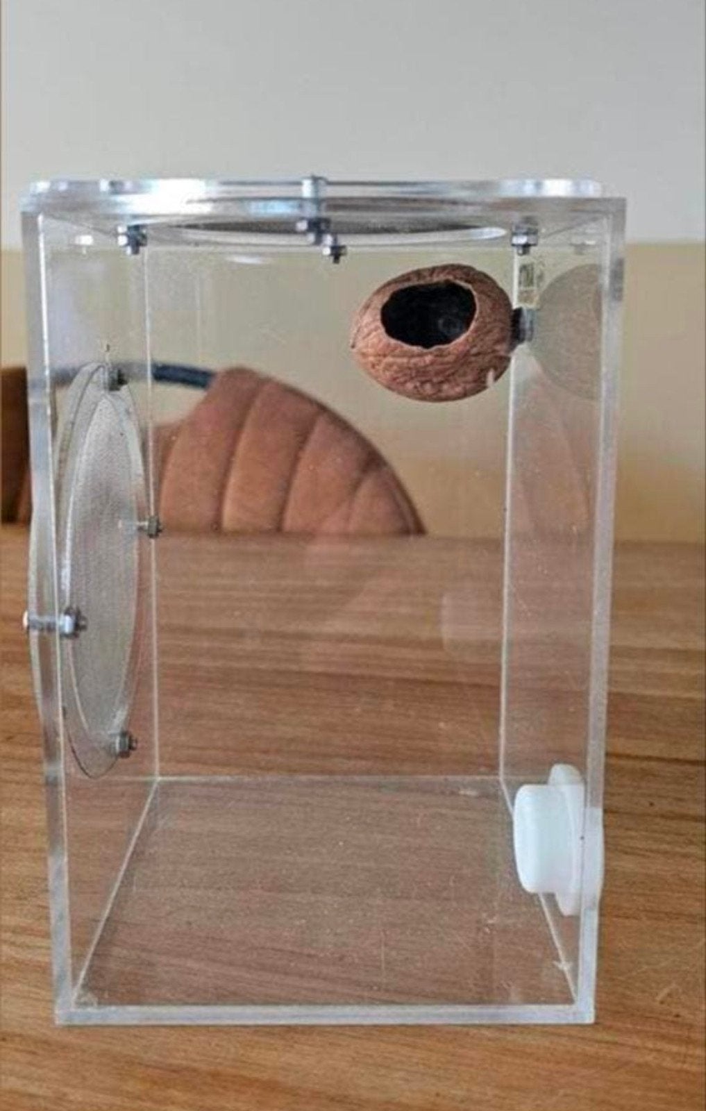 springspin terrarium