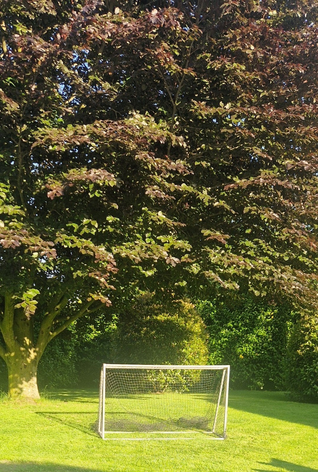 Voetbaldoel metaal 200cmx120cm extra groot net, Ophalen, Gebruikt