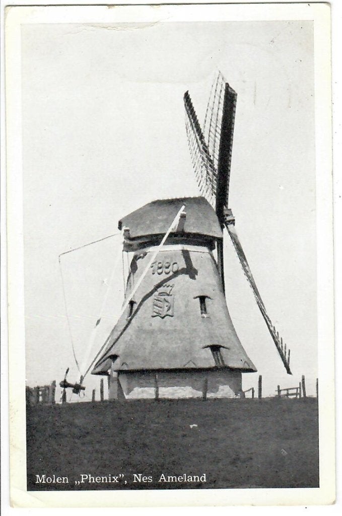 Ameland-Nes - Molen "Phenix", Verzenden, 1940 tot 1960, Gelopen, Waddeneilanden